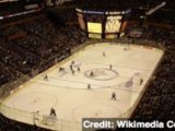 NHL Reaches Tentative Lockout Solution