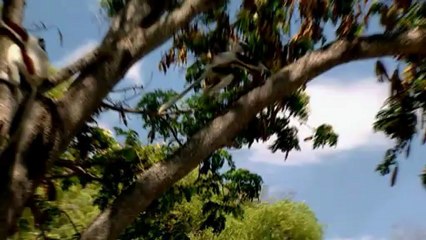 EJ Retro - Blue planet