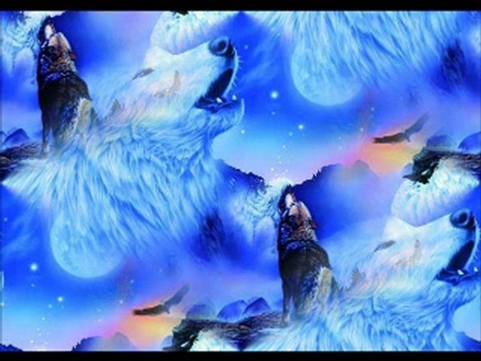 Howlin At The Moon