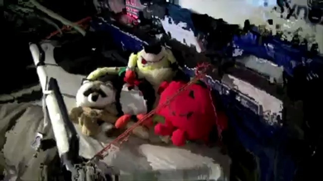 Les mascottes de SynerCiel passent le Cap Horn ! Instant Détente