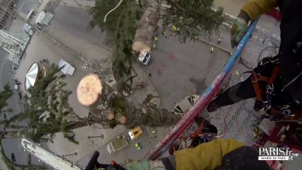 Au sommet du plus haut sapin de Noël de France