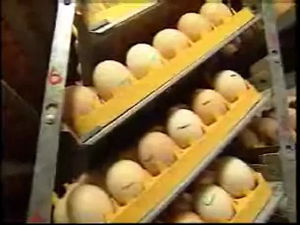 6TYOVK