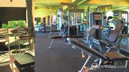 Enclave at Arrowhead Apartments in Peoria, AZ - ForRent.com