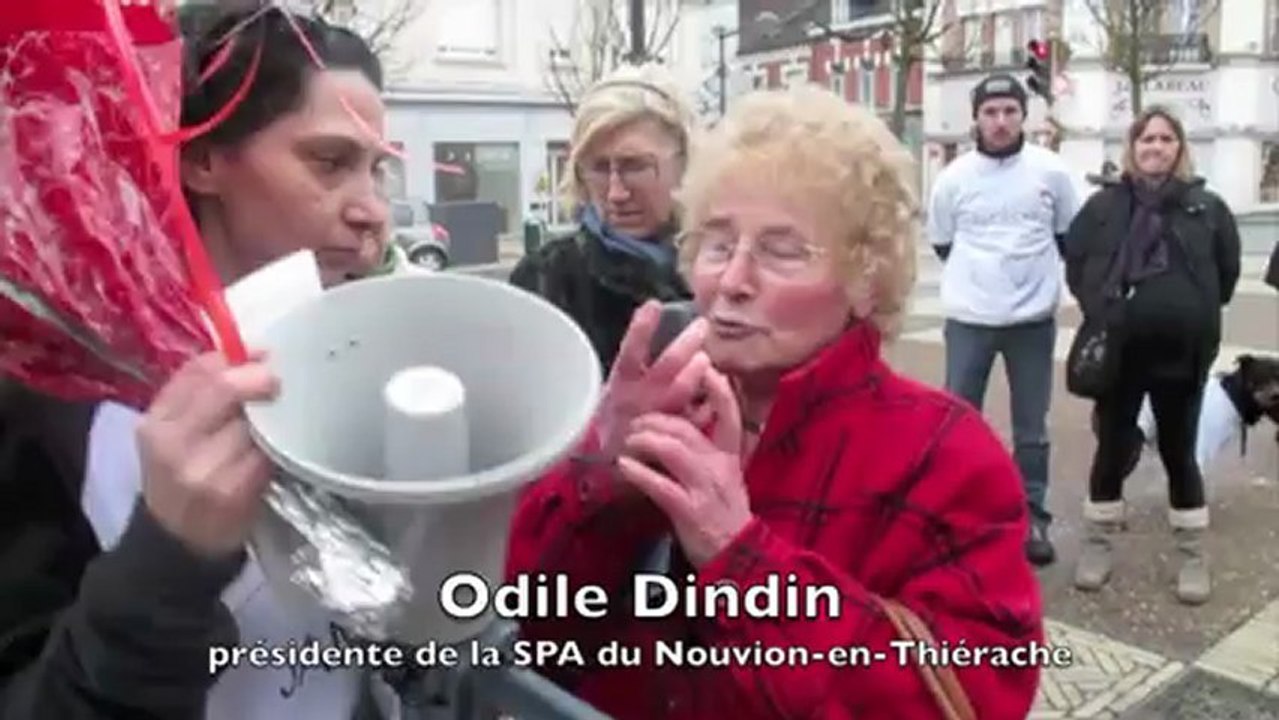 Guise : 150 personnes à la marche pour Dingo
