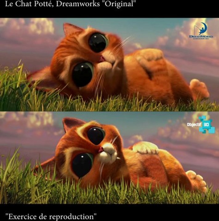 Le chat Potté - Exercice de reproduction