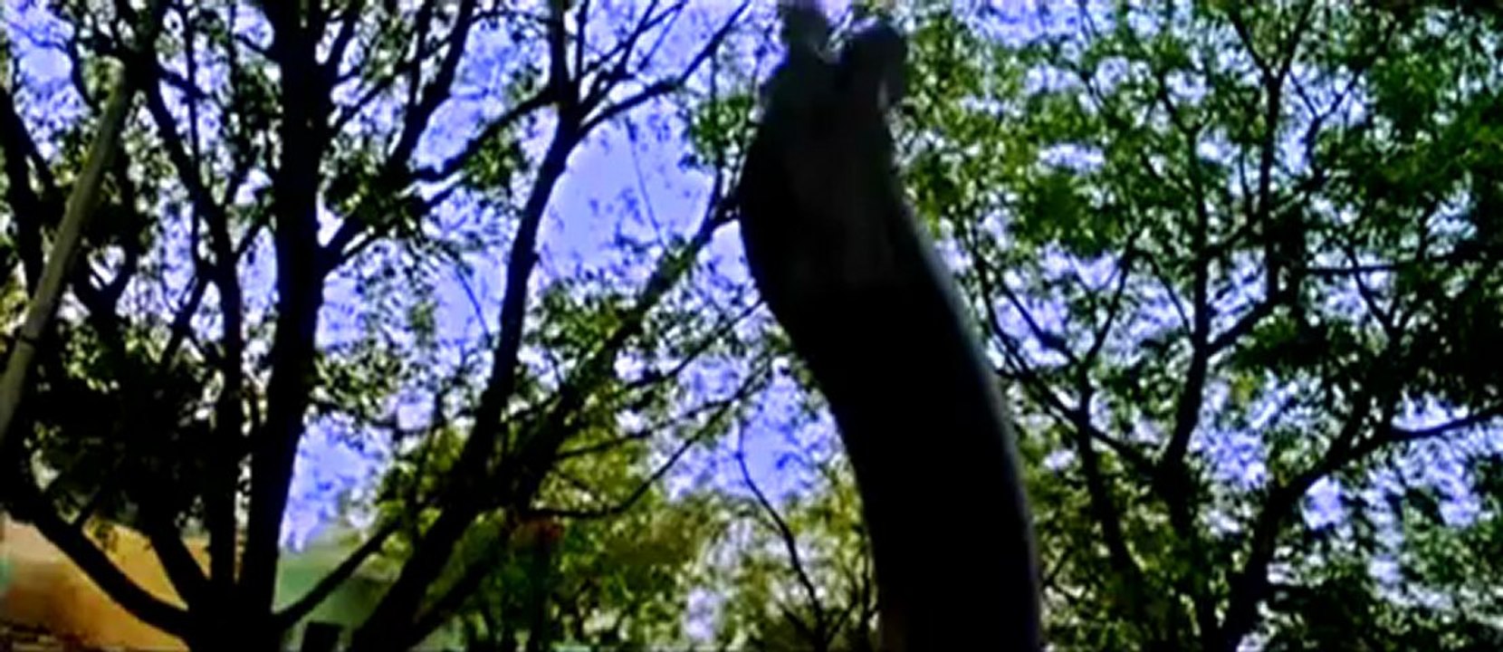 Punjab Parwinder Brar .mp4