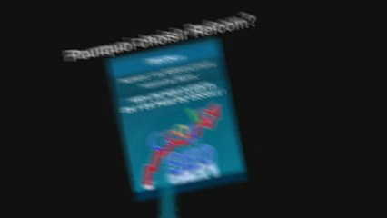 referencement site web