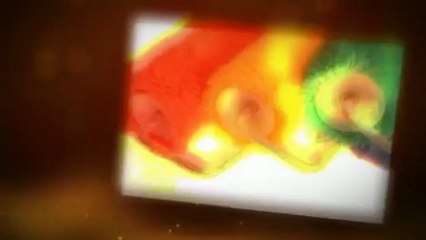 Howard Painting Co (313) 278-2917