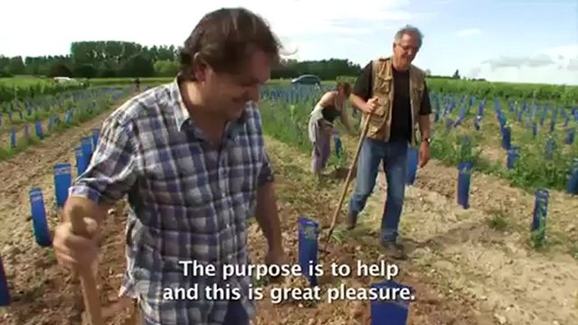 Promenade dans les vignes, en Touraine