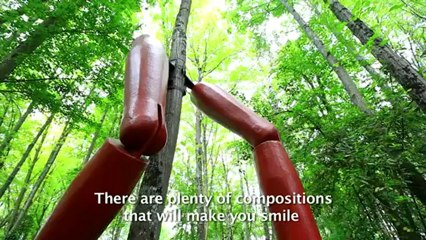 Visiter les plus beaux jardins, en Touraine