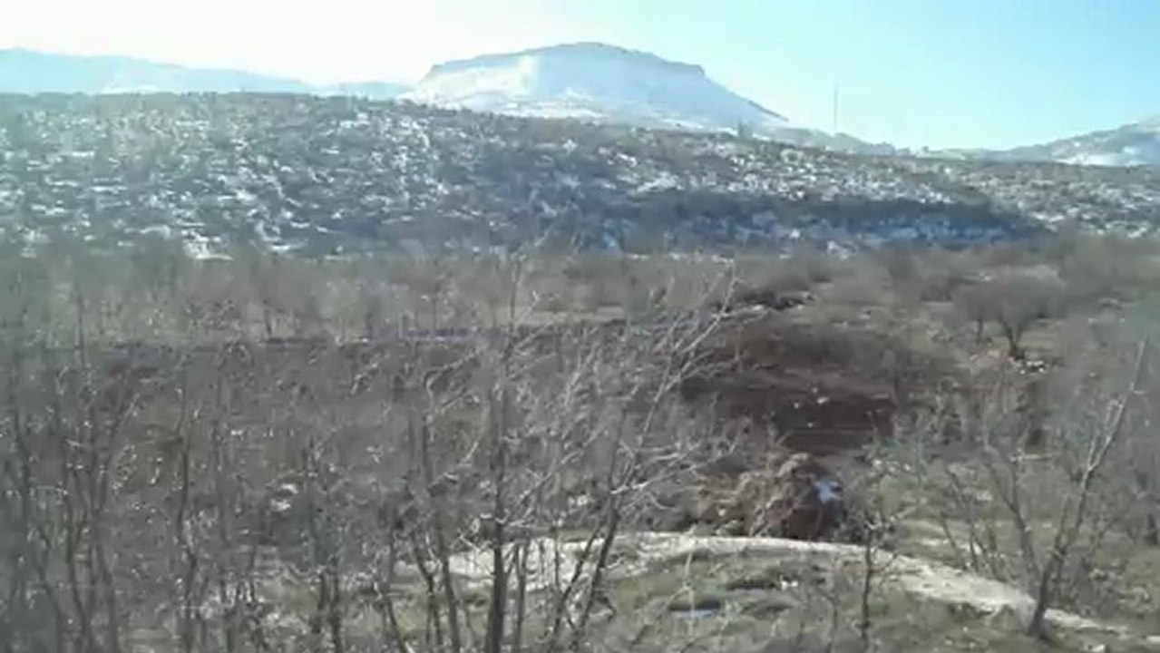 POİNTER KEŞ ÇULUK FERMA 2