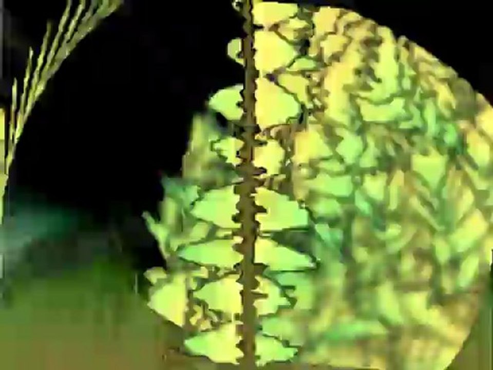 Audio Supernatural - Wonder