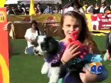 Geo Report- Dog Show in Dubai- 06 Feb 2012.mp4