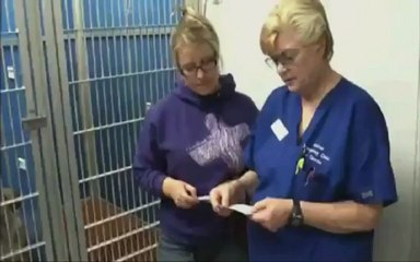 L'incroyable histoire de Buck, le chien qui ne voulait pas mourir