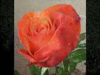 kürtçe ilahi dinle - http://www.ilahidinle.be/