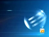 Geo Report-News Summary-29 Dec 2011 (1600).mp4