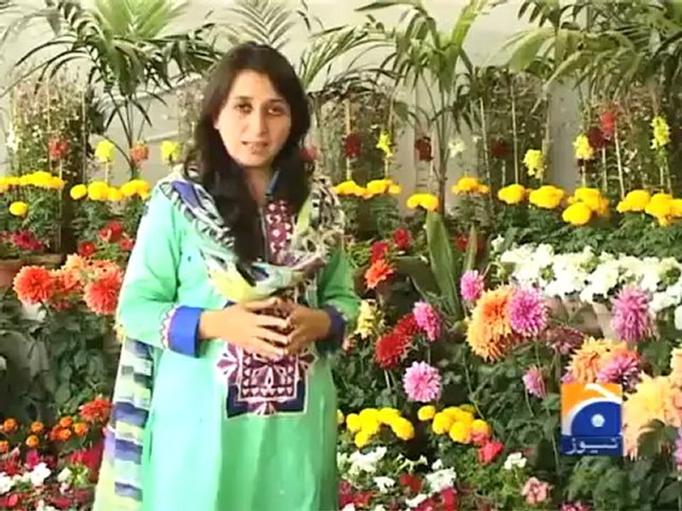 Geo Reports- Flower Festival Karachi- 16 Mar 2012.mp4