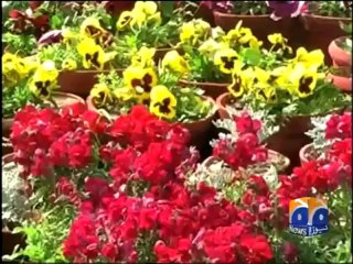 Geo Reports- Flower Show in DG Khan- 21 Mar 2012.mp4