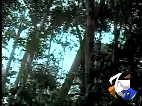 Geo Reports-Earth Hour 2012-31 Mar 2012.mp4