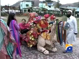 Geo Reports-Kallar Kahar Lake-20 Apr 2012.mp4