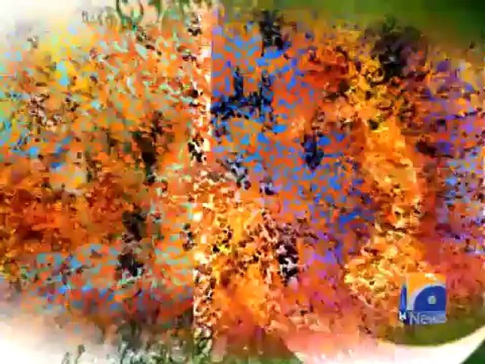 Geo Reports-Patriotic Artist In Karachi-23 Mar 2012.mp4