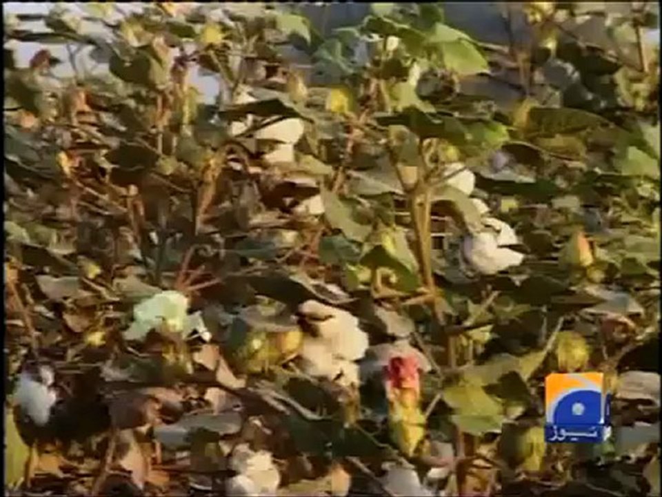 Geo Reports-Water reservoirs at dead level-10 Mar 2012.mp4