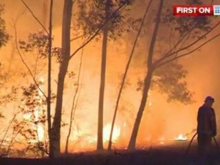 Bush and forest fires rage on