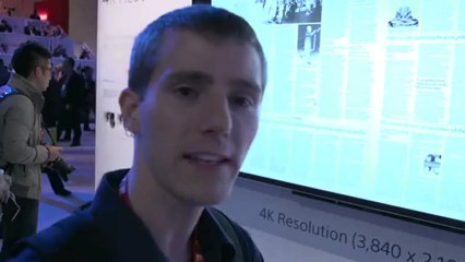 Sony 4K vs 1080p Resolution Demo with 86" TVs - Linus Tech Tips CES 2013