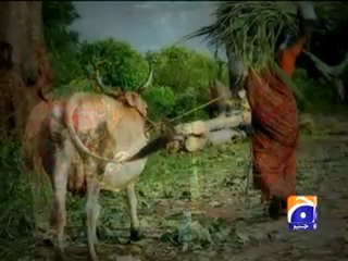 Rural Women Day Andaz e Bayan 03.mp4