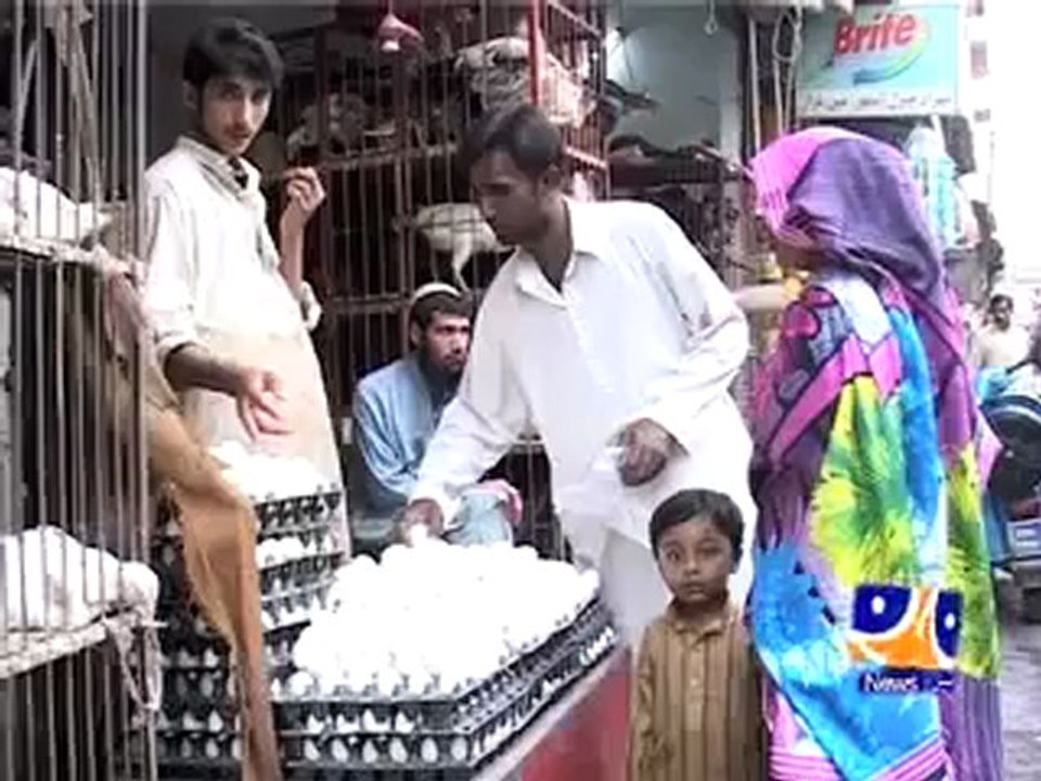 World Egg Day Sheeba.mp4