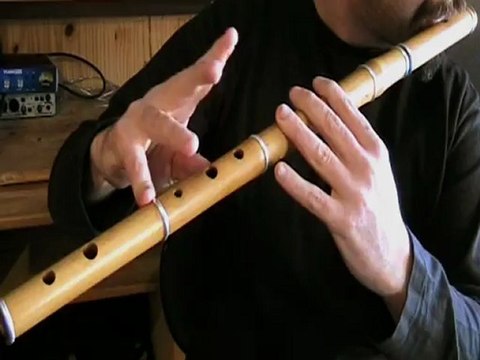 The Stolen Reel - Tutoriel de flûte traversière irlandaise - Tradschool