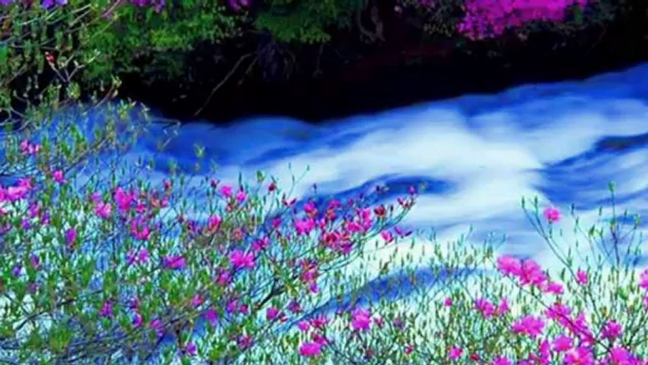 CENGİZ ÖZKAN-MİHRİCANMI DEĞDİ GÜLÜNMÜ SOLDU