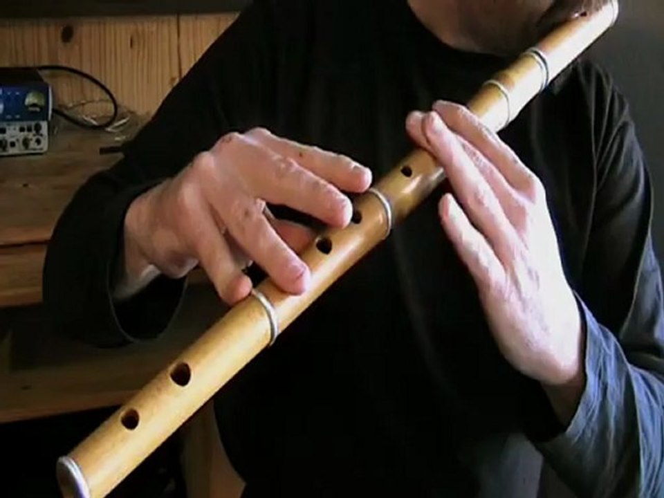 Mr McLeod's Reel (Garret Barry's) Tutoriel de flûte traversière irlandaise Tradschool Vidéo