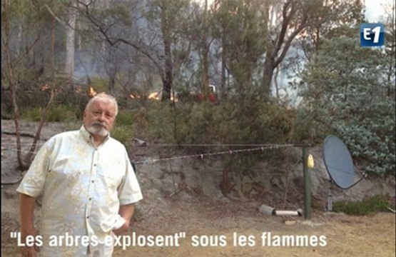 Incendies en Australie : les arbres explosent
