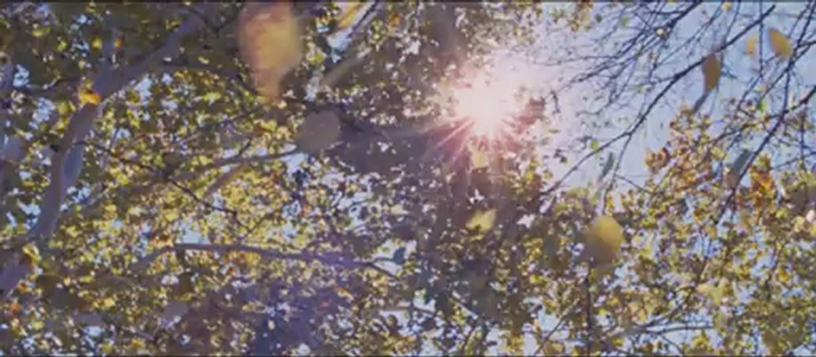 To The Wonder - Trailer
