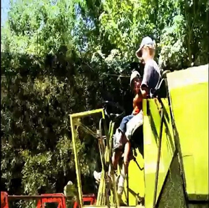 CLAAS CONSUL MOISSON 2012