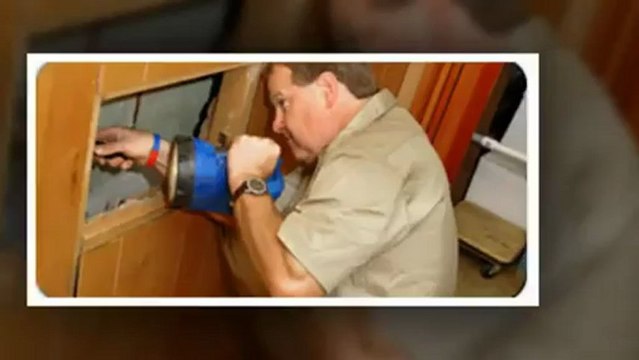 Pest Control in Irvine, Fullerton & Orange County, California (CA)