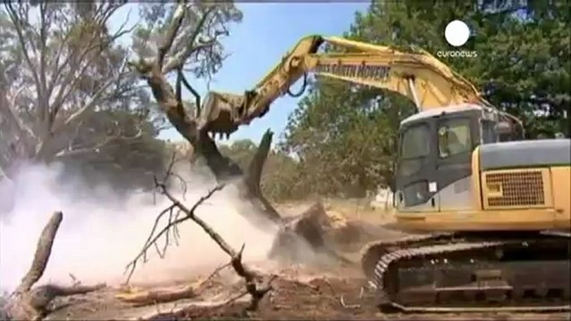 Australian fires spread in NSW and Queensland