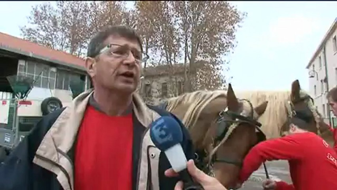 Réinsertion avec chevaux lourds