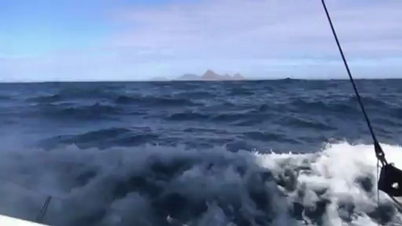 Les îles Malouines et les phoques vus par Jean Le Cam