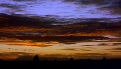 Эхо: Воспоминания о слонихе