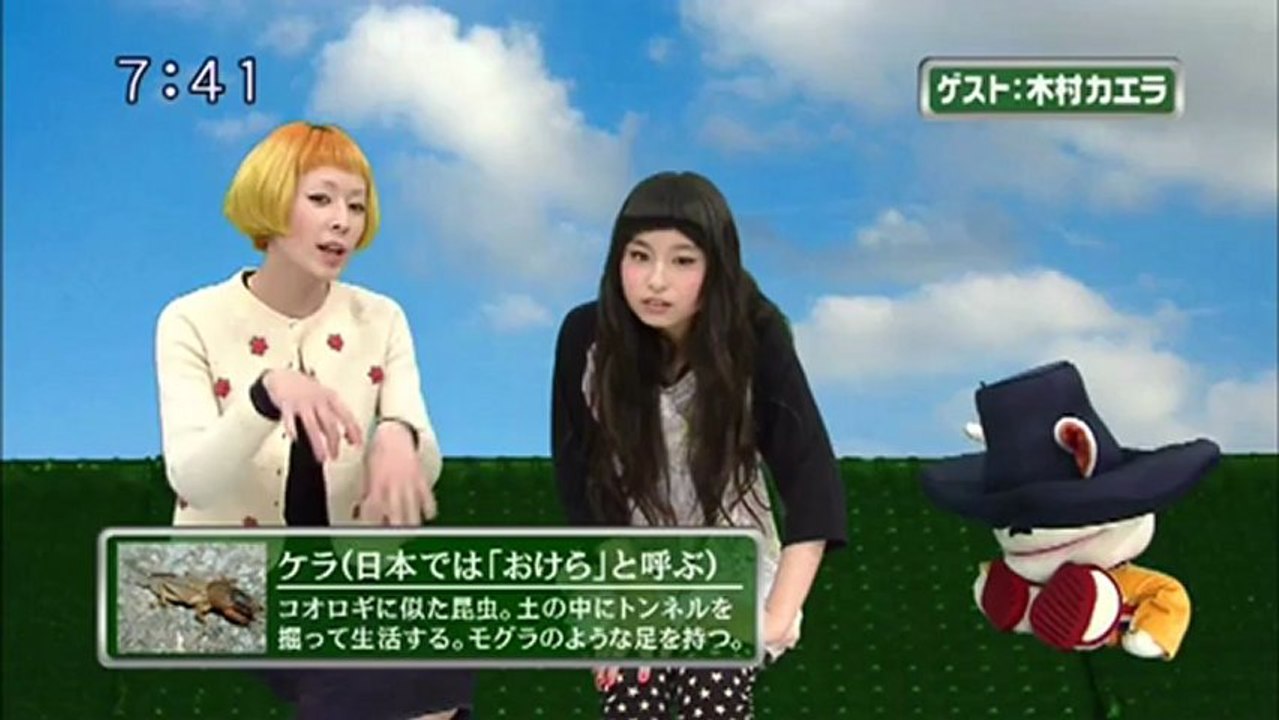 sakusaku 2013.01.10ビックおけらとチョウチンインコウはヤバい... 木村カエラ登場2