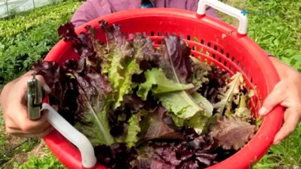 Organic food and farming -- your queries answered.mp4