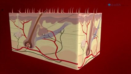 Scrubs- are they for you-.mp4