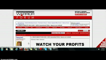 Solo Ads, How To Build Your Business Fast