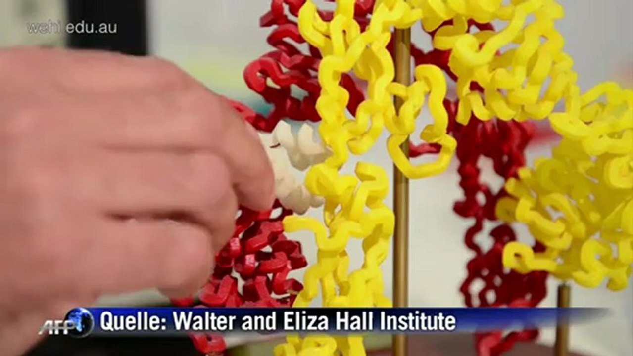 Durchbruch bei Diabetes-Forschung: Spritzen bald überflüssig?