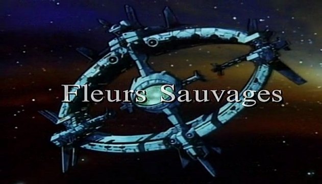 ULYSSE 31 > 2 les fleurs sauvages