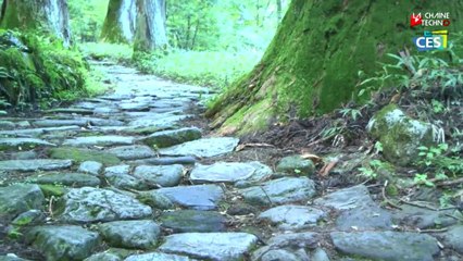 CES 2013  Quel contenu pour les TV Ultra Haute Définition