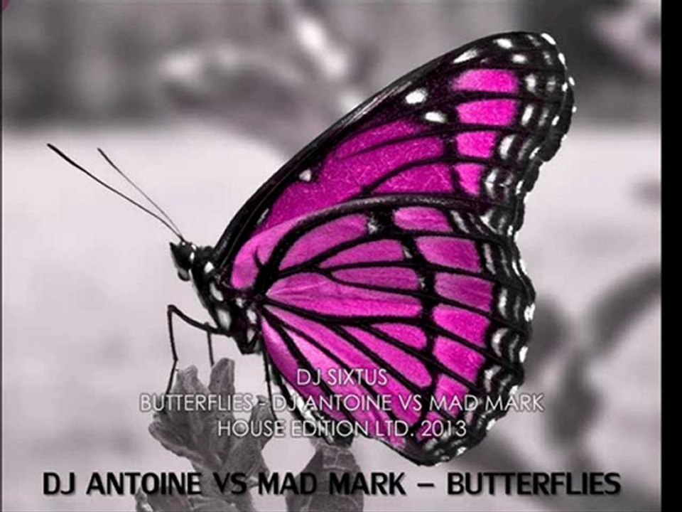 Remix DJ Sixtus Butterflies