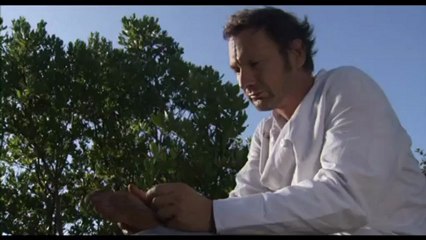 Les hommes sont des rêves